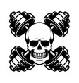 skull with crossed dumbbells vector image vector image