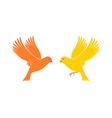 flying canary vector image