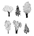 tree sketch set vector image