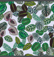 multicolor leaves pattern seamless light gray vector image vector image