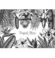tropical plants frame design exotic flowers vector image