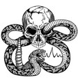 human skull and snake black and white tattoo vector image