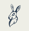 rabbit logo design icon vector image