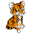 cute baby tiger lies vector image