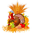 cute turkey with cornucopia vector image vector image