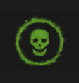 green smoke skull sign in circle vector image vector image