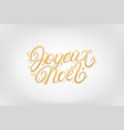 joyeux noel 2020 hand written lettering vector image vector image