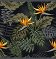 night tropical seamless pattern plants and flowers vector image