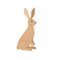 wild brown hare forest animal with long ears vector image