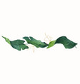 watercolor banner tropical leaves isolated vector image vector image