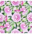 watercolor camellia seamless pattern vector image