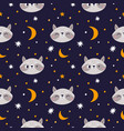 funny raccoon seamless pattern cute little vector image