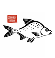 common bream black and white vector image