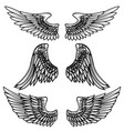 vintage wings isolated on white background design vector image