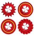 clover with four leaves sign st patrick symbol vector image vector image