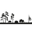 black silhouette of forest trees vector image