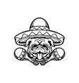 cinco de mayo pug dog with sombrero hat char vector image vector image