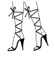 contemporary female poster girls legs in lace-up vector image
