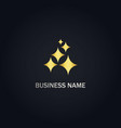 shine star gold logo vector image vector image