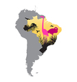 pink flamingos in brazil vector image