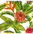 seamless leaves and flowers vector image