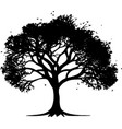 tree silhouette vector image