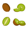 kiwi whole fruit half and slices on white vector image