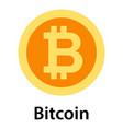 bitcoin icon flat style vector image
