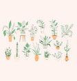 potting trees flowerpots hanging plants in pots vector image