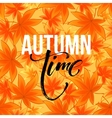 autumn time seasonal banner design fall leaf vector image vector image