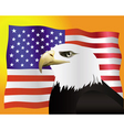 american flag vector image