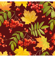 autumn leaves background - seamless pattern vector image vector image