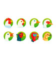 domestic birds icons set vector image vector image