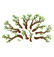 set oak branches isolated vector image vector image