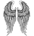 hand drawn angel wings vector image vector image