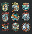 surfing vintage colorful labels set vector image vector image
