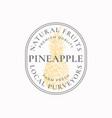 pineapple farm badge or logo template hand drawn vector image