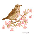 pretty bird sitting on flowering tree vector image vector image