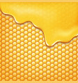 sweet honey vector image vector image