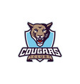 sports logo with cougar mascot colorful sport vector image