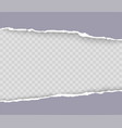 torn paper with ripped edges and soft shadow vector image