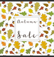autumn frame background wreath of leaves vector image