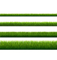 green grass border white background vector image