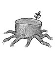 cartoon image of big tree stump vector image
