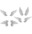 set of heraldic wings vector image