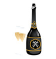 dark bottle with ice cubes and empty crystal vector image