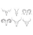 set silhouettes skulls horned animals vector image vector image