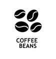 coffee beans black icon vector image