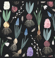 blooming first spring flowers lie without a pot vector image vector image