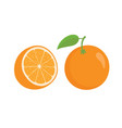 oranges orange slice half cut and front vector image